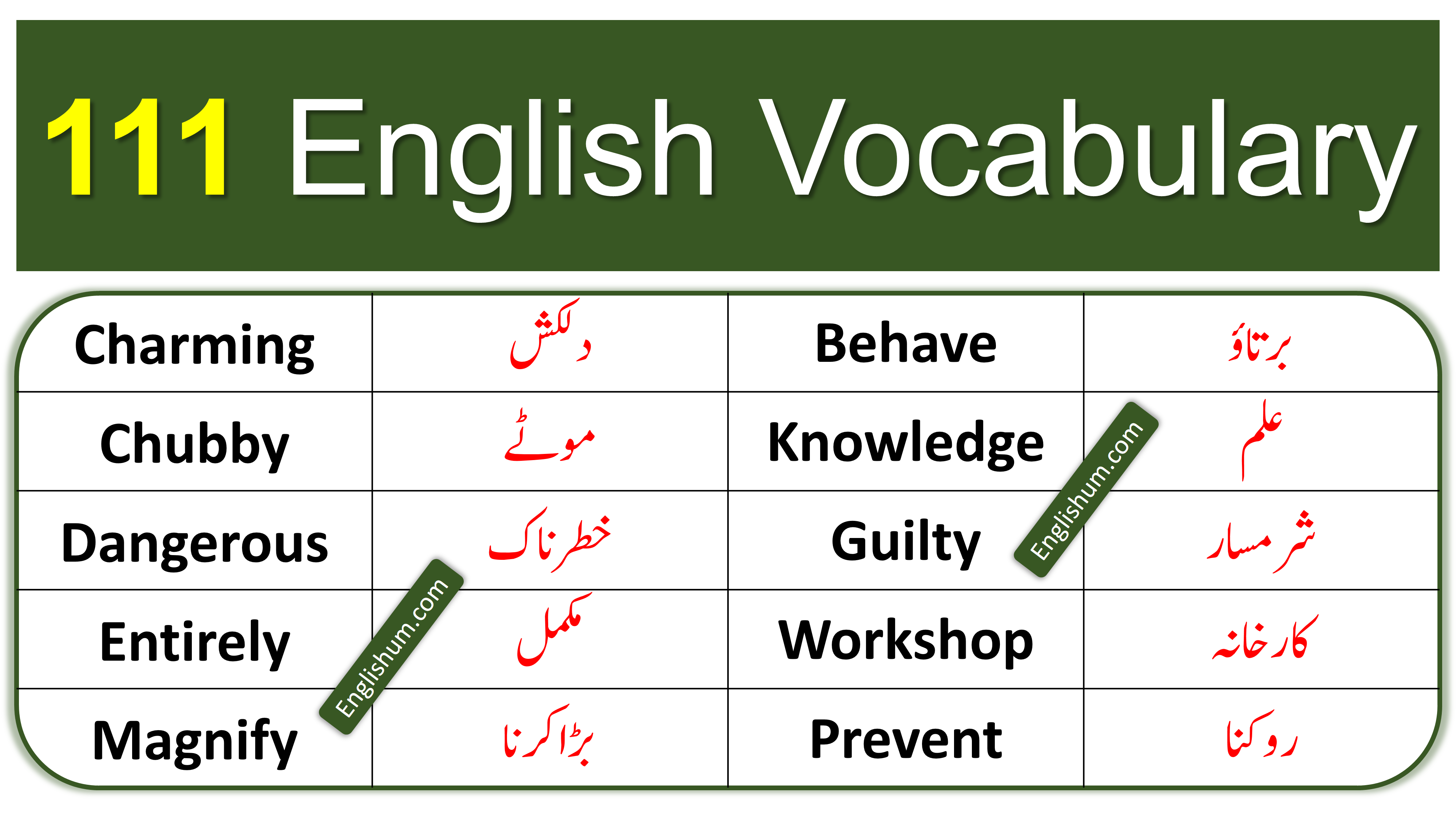 111 English to Urdu Vocabulary for Daily Use