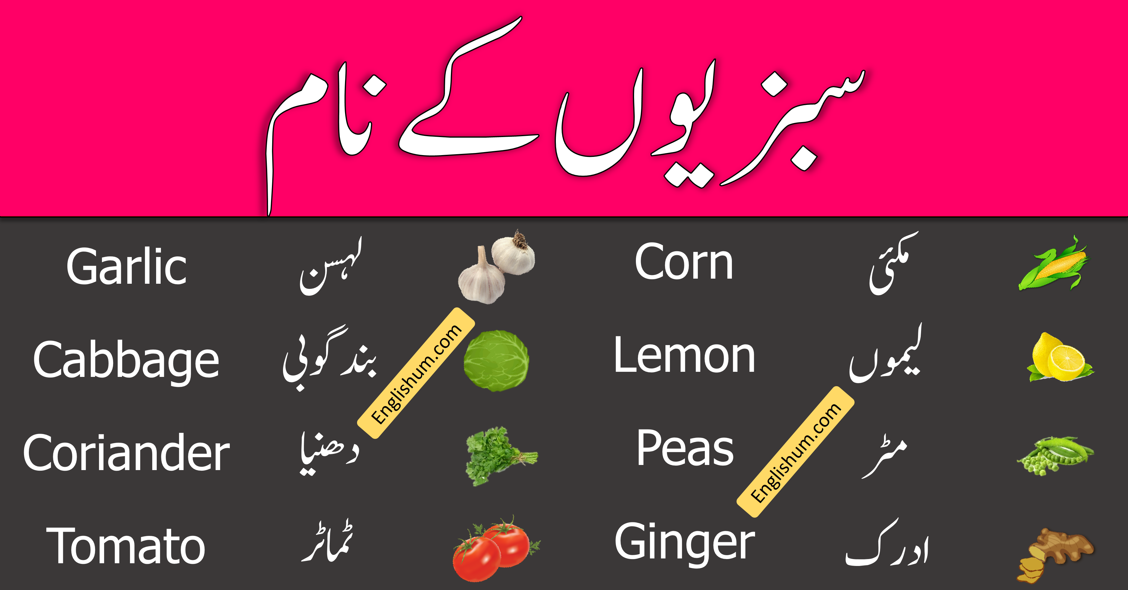 35 Vegetable Names in English and Urdu