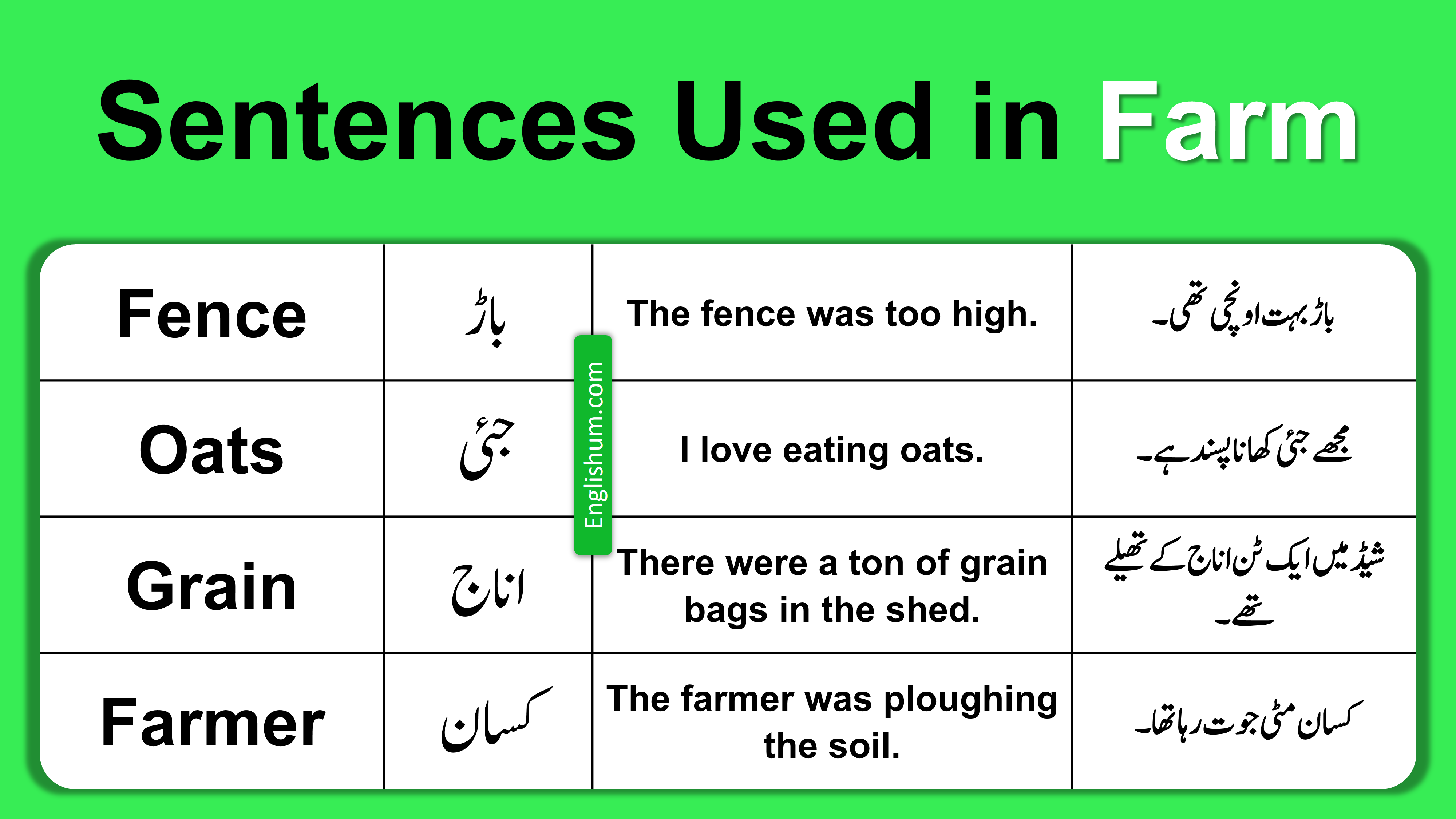 31 English Sentence with Urdu Translation Used in Farm