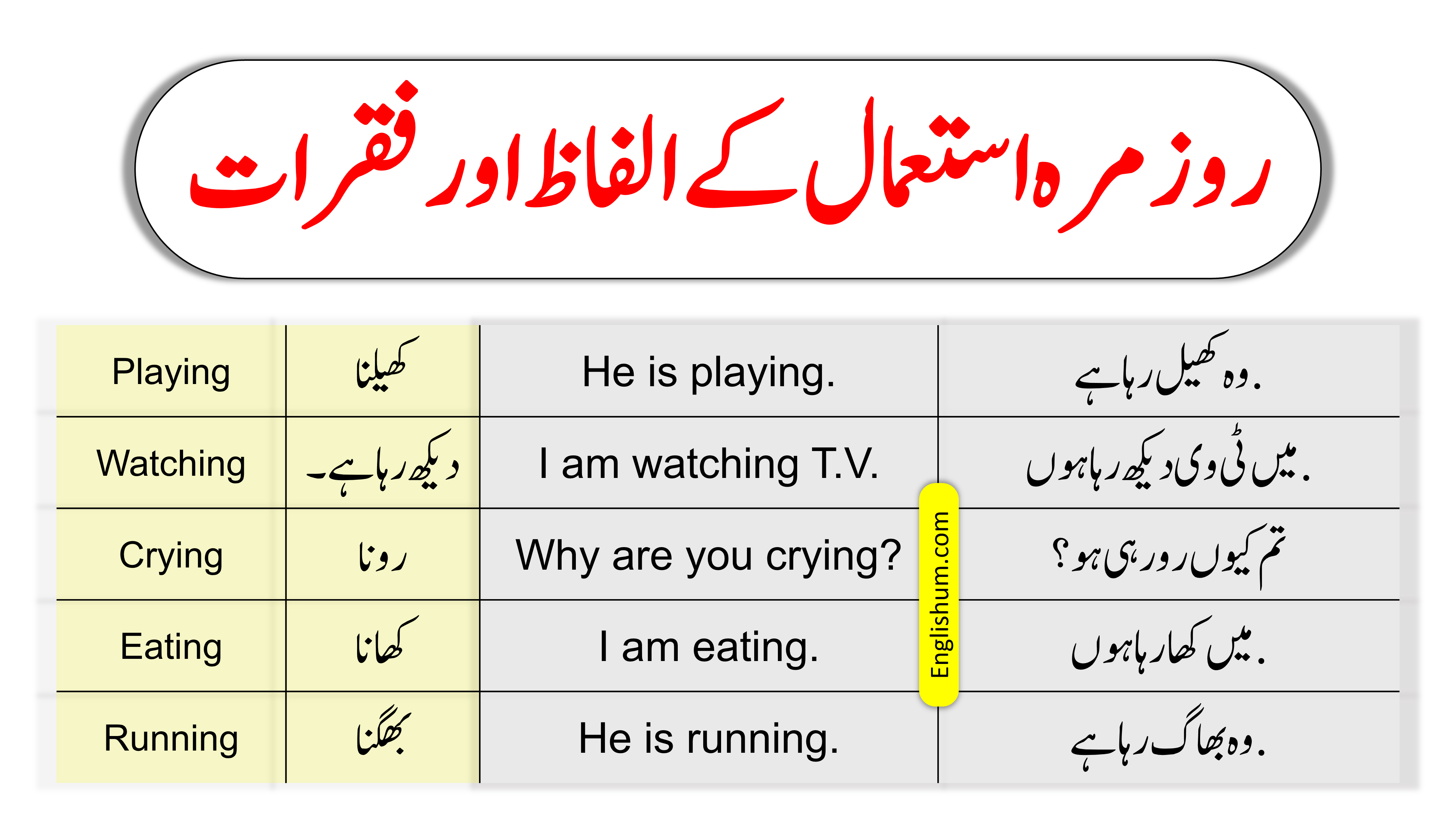 35 Daily Use English to Urdu Vocabulary and Sentences