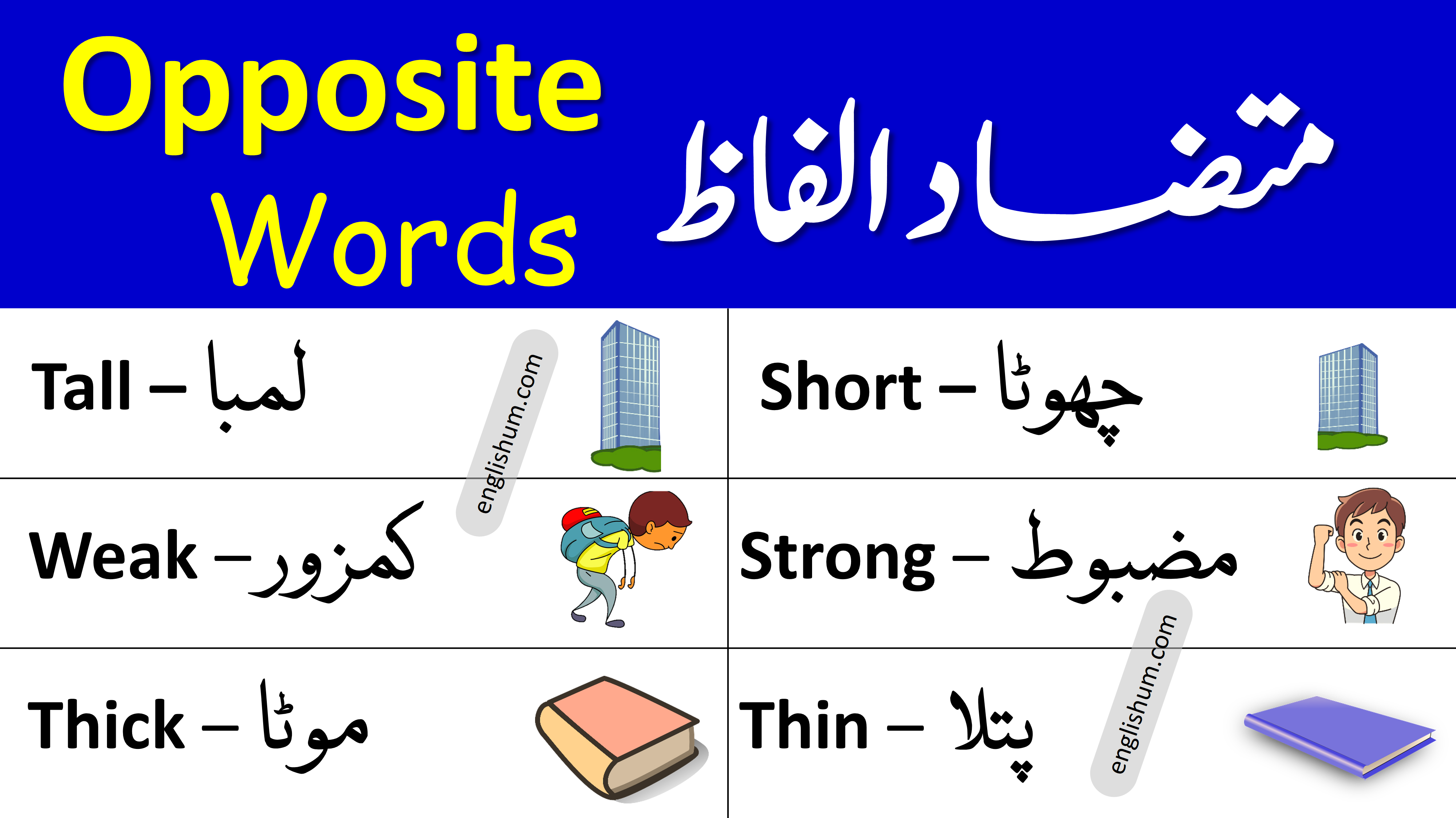 Opposite Words List with Urdu Meanings - Antonyms