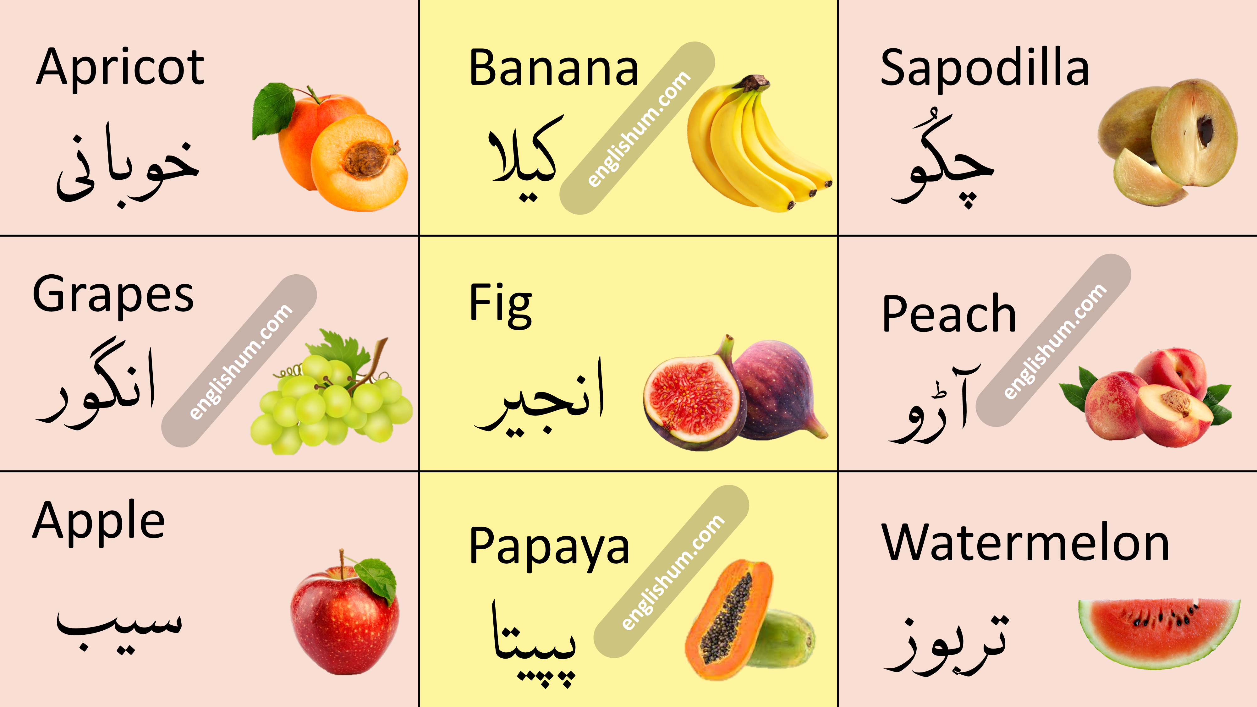 Fruit Names in English with Urdu Meaning