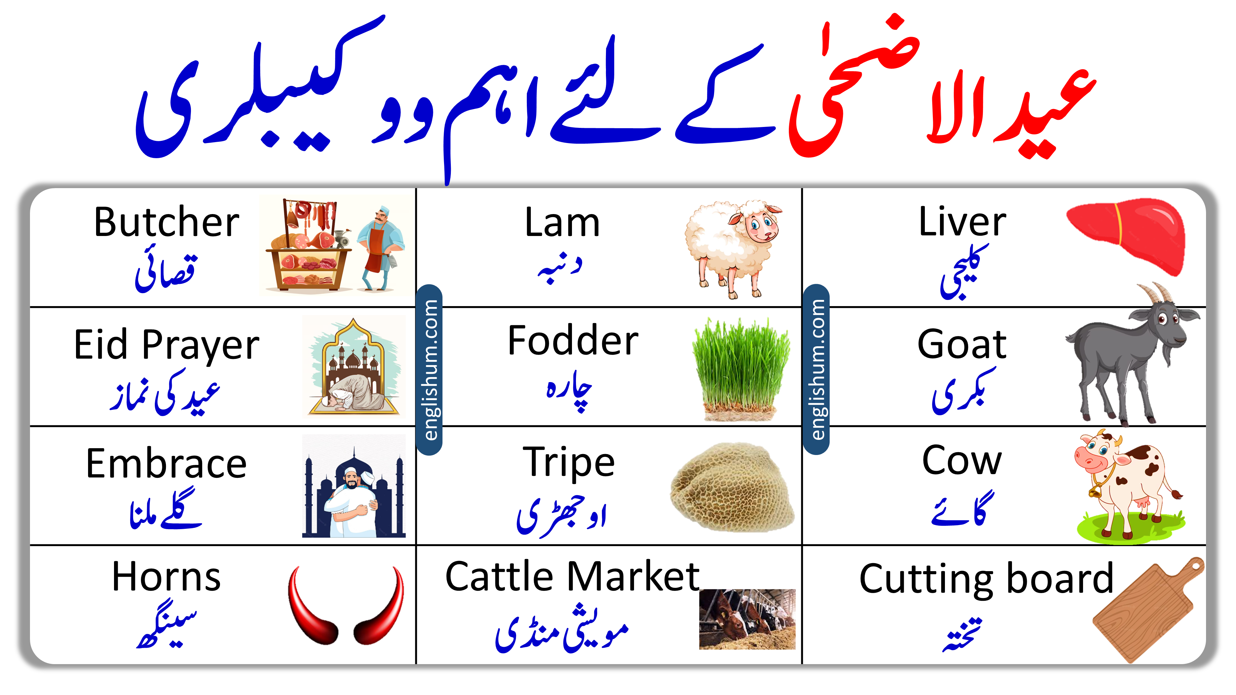 Eid ul Adha Vocabulary Words in English and Urdu