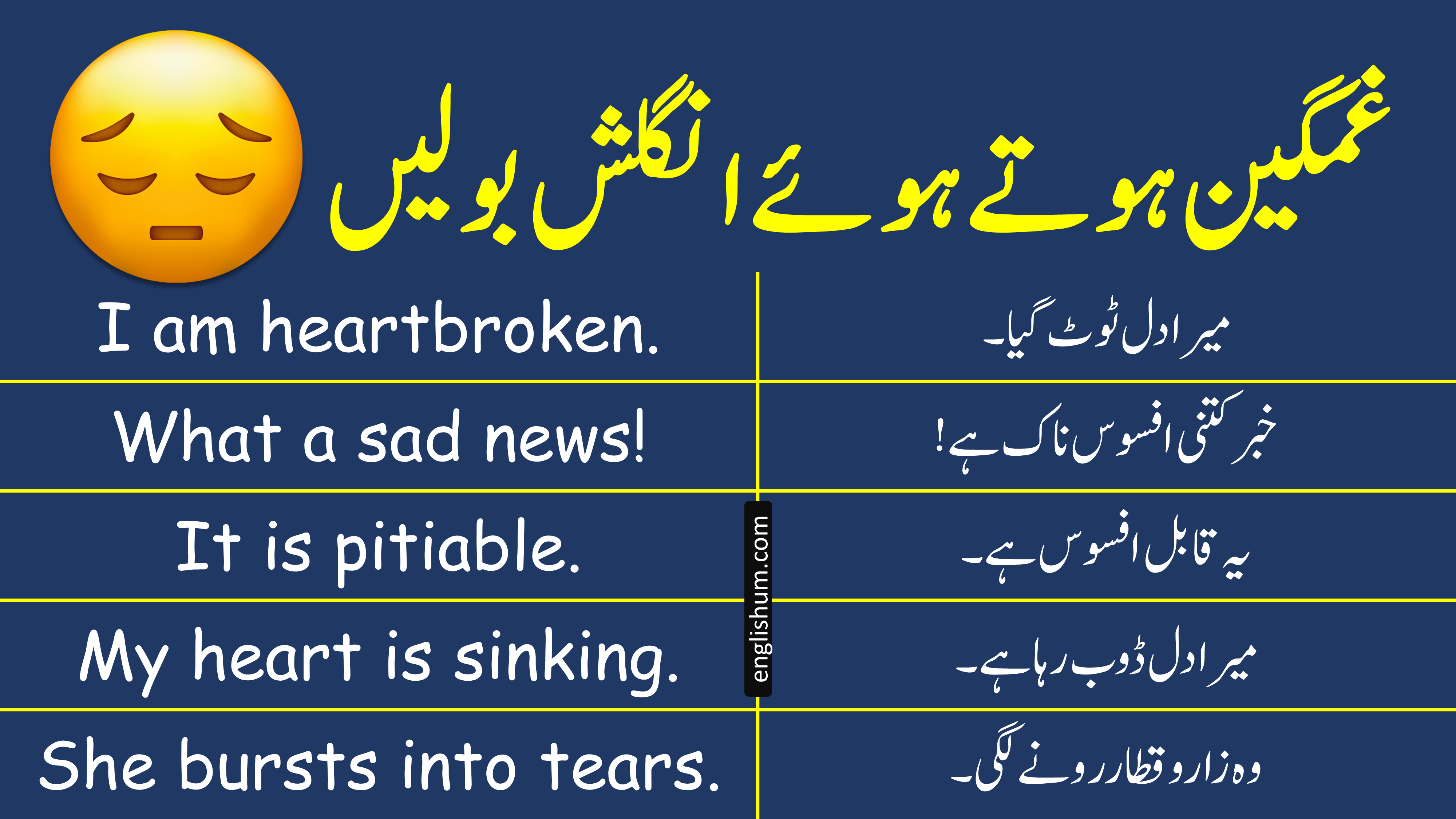 Sadness Related English Sentences with Urdu Translation