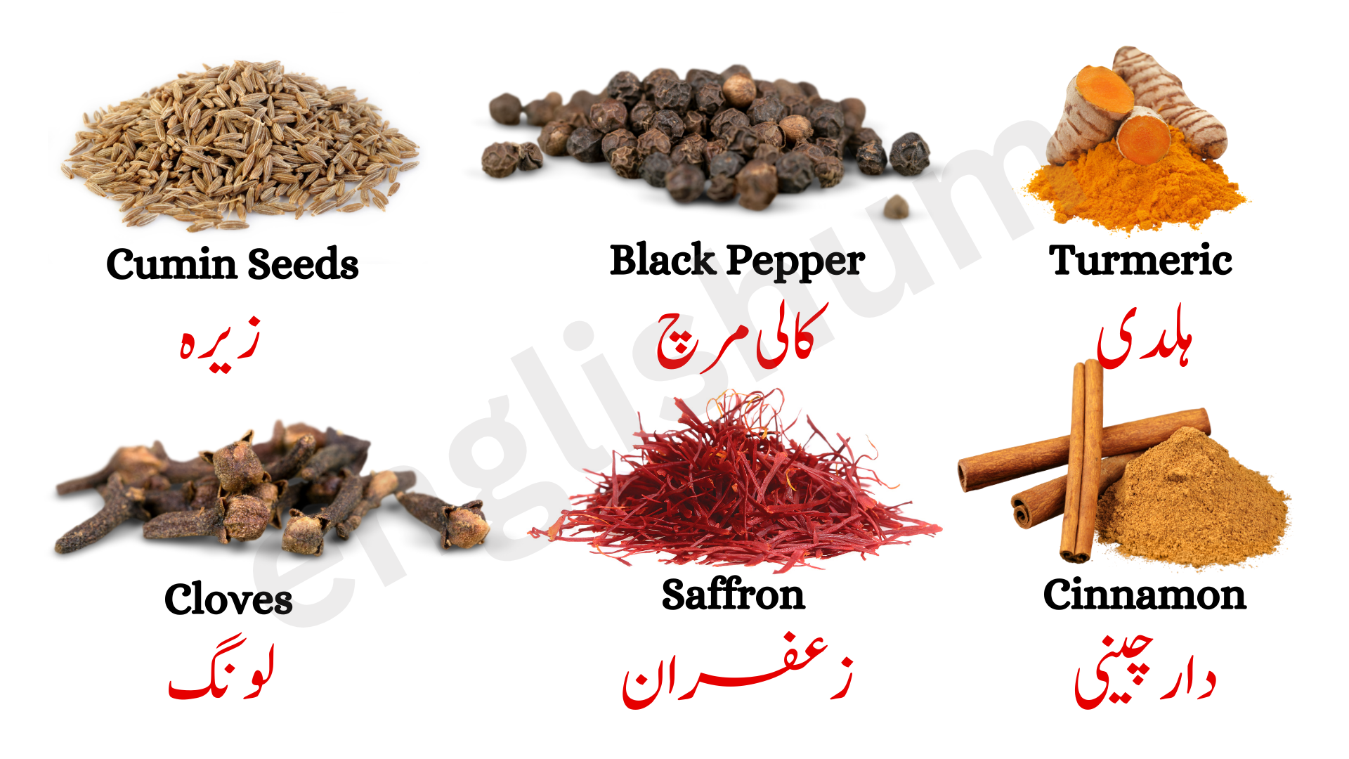 Spices Names in Urdu and English